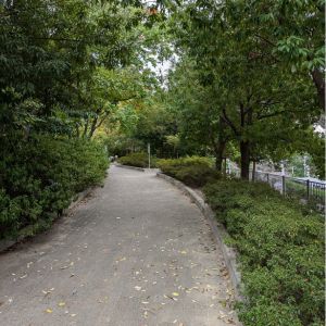 吹田市千里丘上公園